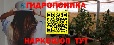 крисы Обнинск