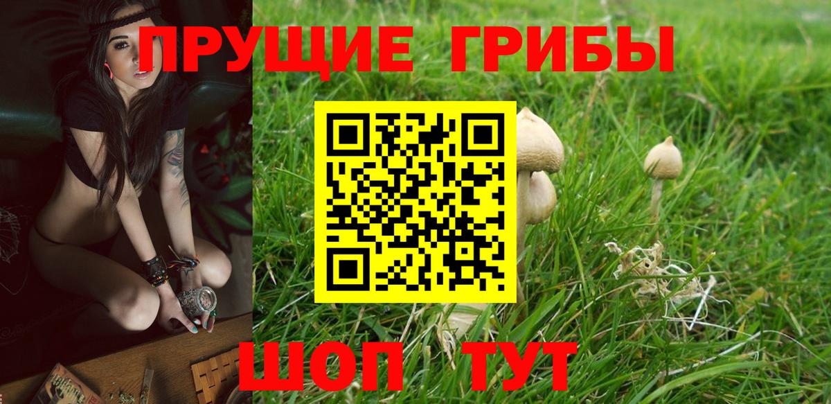 Псилоцибиновые грибы мухоморы  Псилоцибиновые грибы мухоморы  Вход с VPN  Рубцовск 