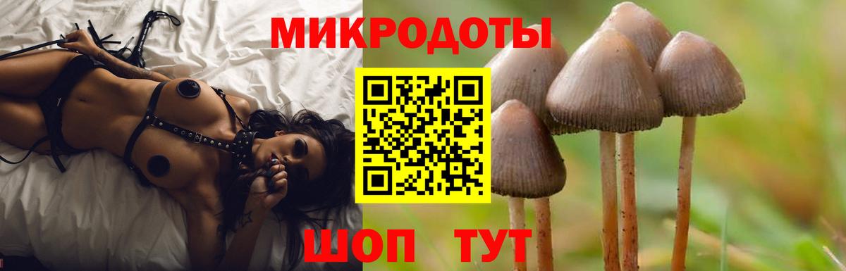 Галлюциногенные грибы ЛСД Рубцовск